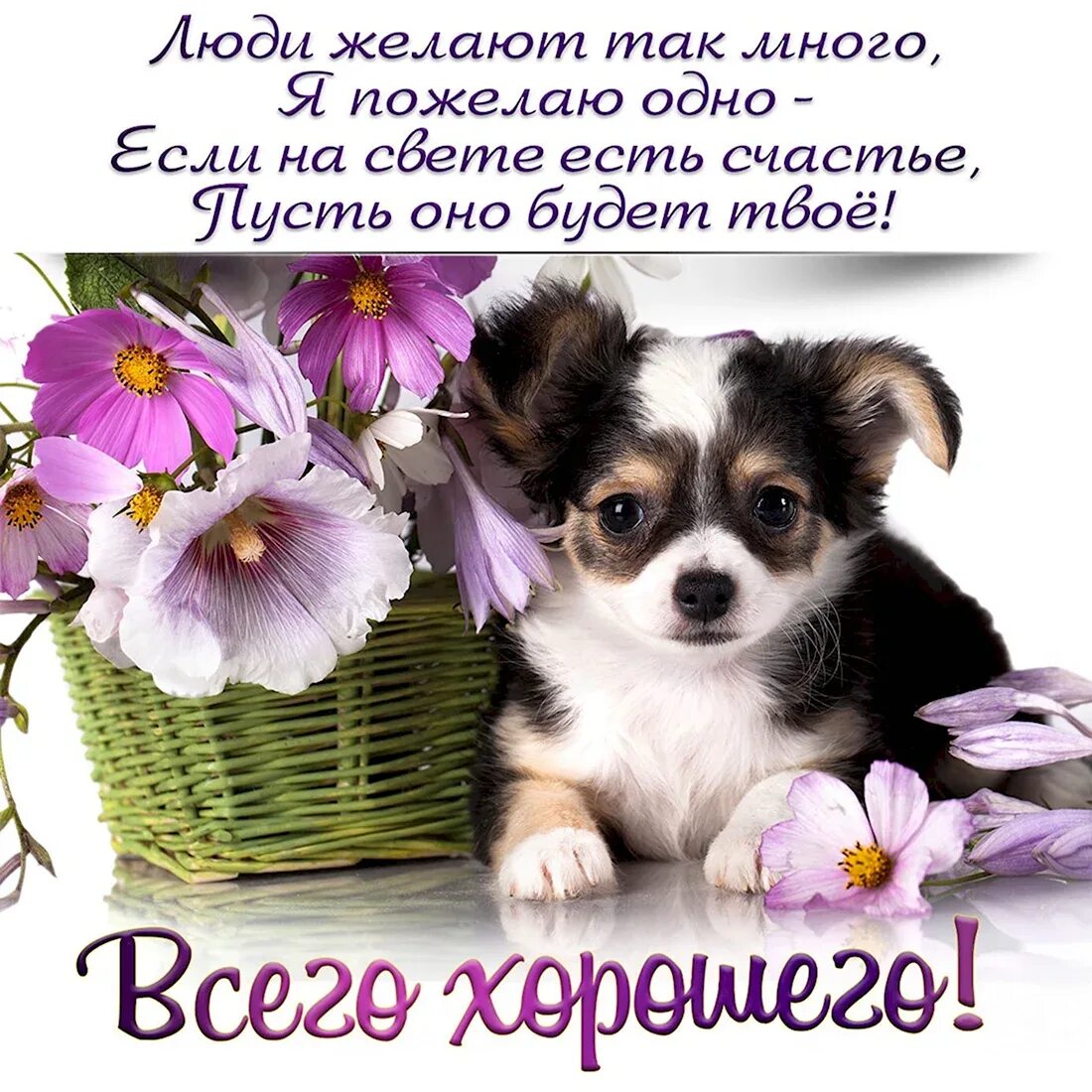 Очень доброго дня хорошим людям
