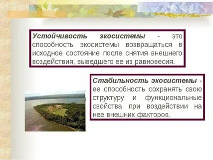 Способность экосистемы