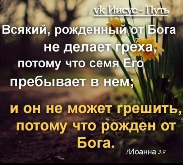 Самые большие грехи в исламе список. Грех и покаяние. Высказывания святых отцов о блуде. Самоубийство православие. Что делать если совершил грех.