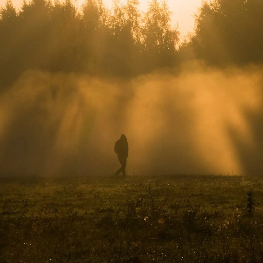 Кипящая душа. Дождь и туман. Человек в тумане. Поле в тумане. Утро туман.