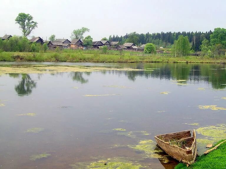 река ориноко южная америка. река ориноко. притоки реки ориноко. бифуркация реки ориноко. вичада (река).