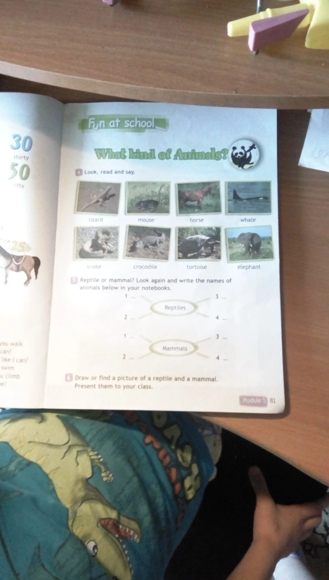Look again and. Reptile or mammal look again and write the names of animals below in your notebooks 3 класс ответы. reptile or mammal look again and write the names of animals below in your notebooks перевод.