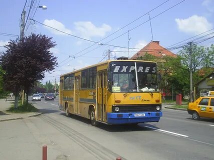 Автобус 259