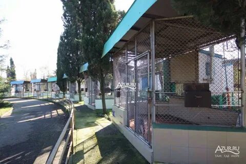 В адлере со скольки работает