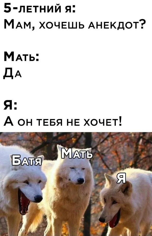 1 шутку хочешь
