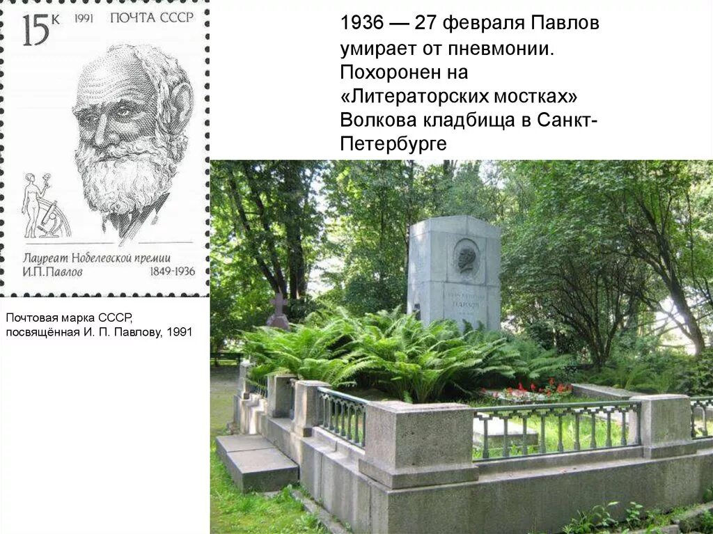 Какого года родился павлов 1. Могила Павлова Ивана Петровича.