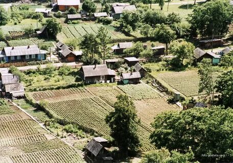 Погода село пожарское