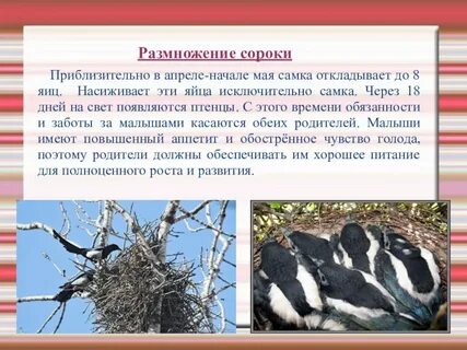 Сообщения 40