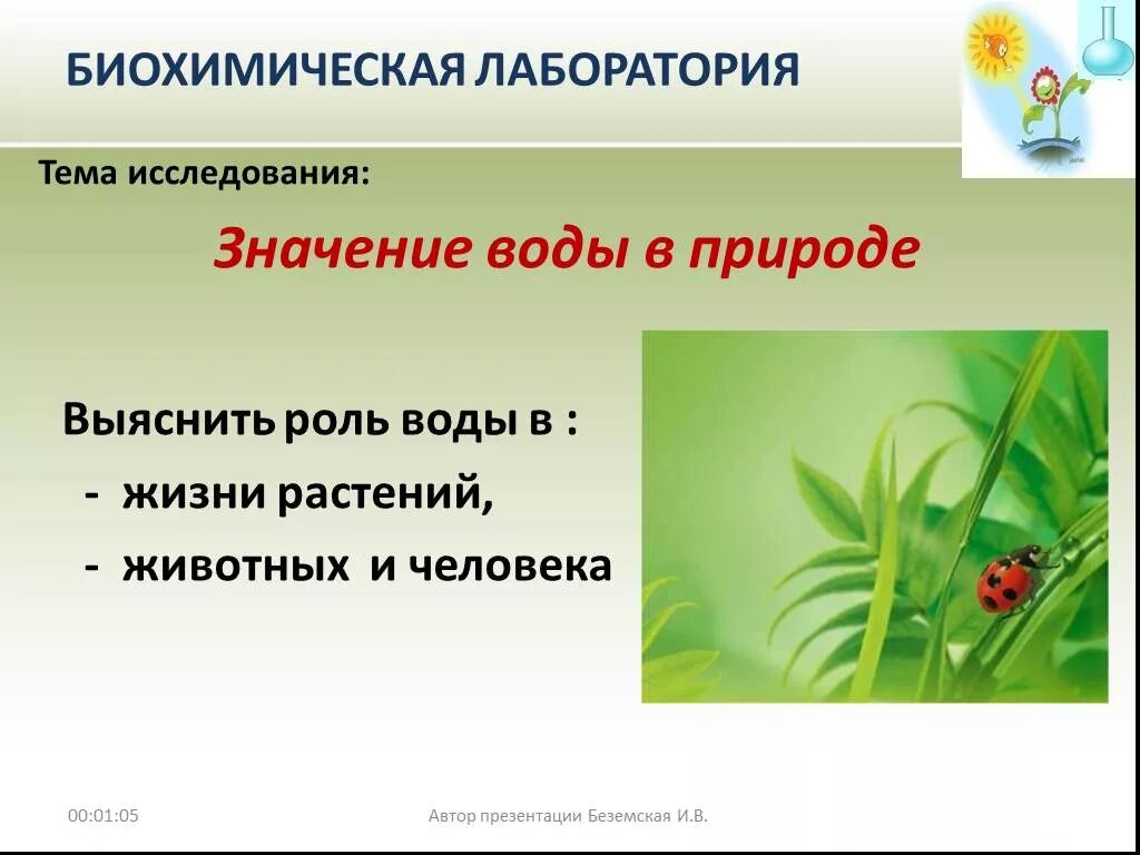 Тише воды ниже травы значение предложение. Роль воды в жизни растений. Роль растений и животных в жизни человека. Объект и предмет исследования вода в роли жизни растений. Значение воды в жизни растений.