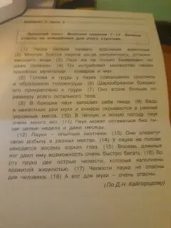 Что хотел сказать автор в рассказе