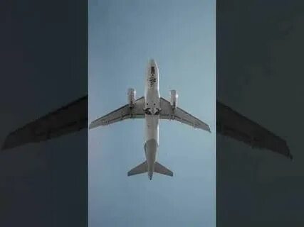 Самолет приземлился через 5