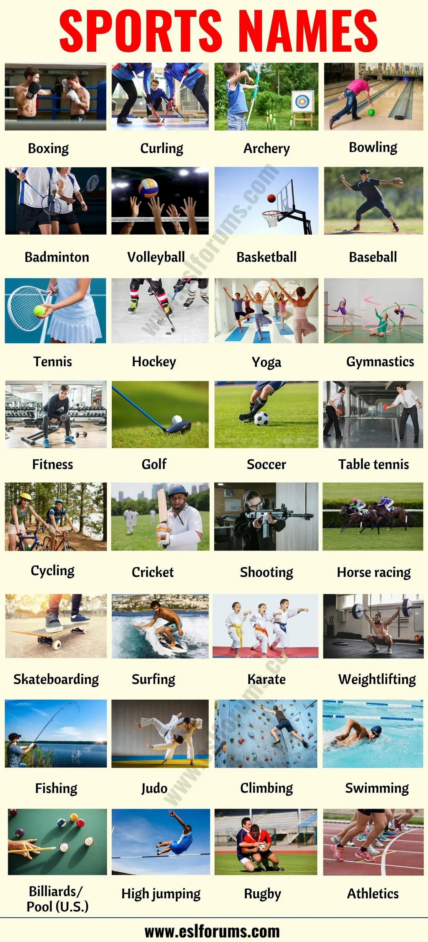 All kinds of sports. Спорт на английском. Виды спорта на английском. Sport games Types. Спортивные игры на английском.