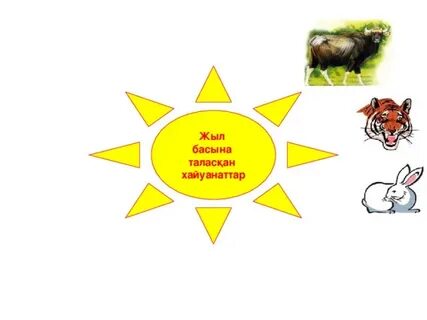 Ханымдар кискаларының жақыннан түсірілген суреттері