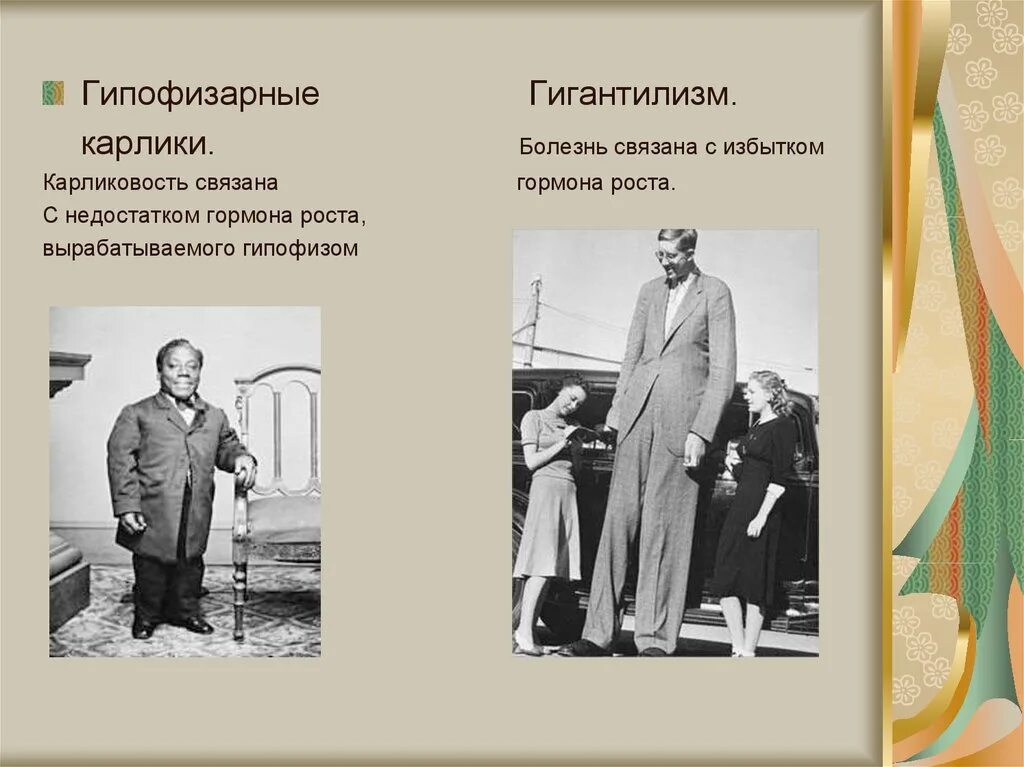 Заболевание гормона роста. Карликовость недостаток гормона. Гипофизарный гормон роста. Заболевания гипофиза карликовость.