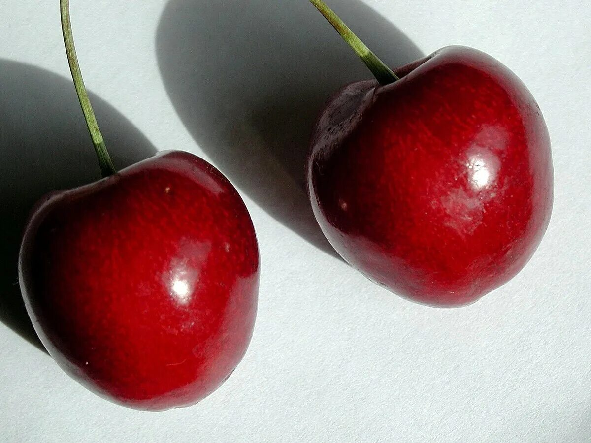 Cherry ll