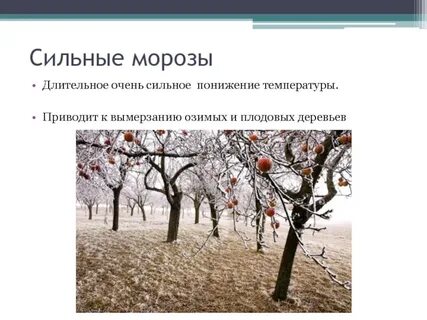 Мороз определение