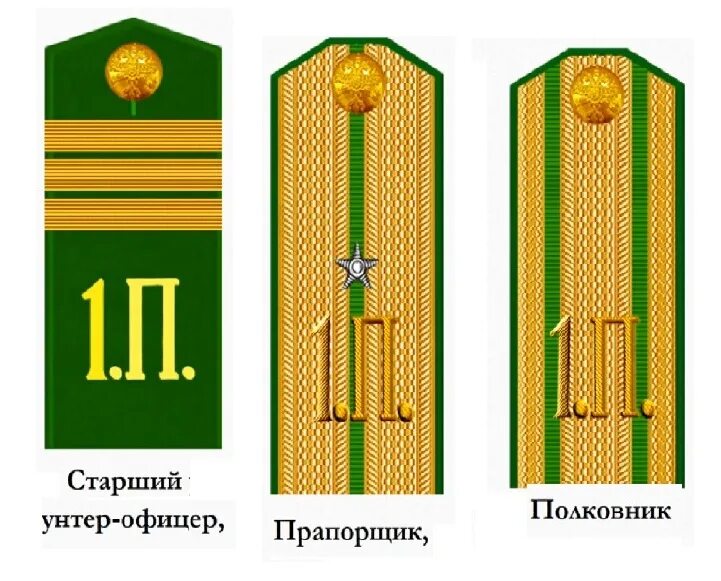 Младший офицер 6