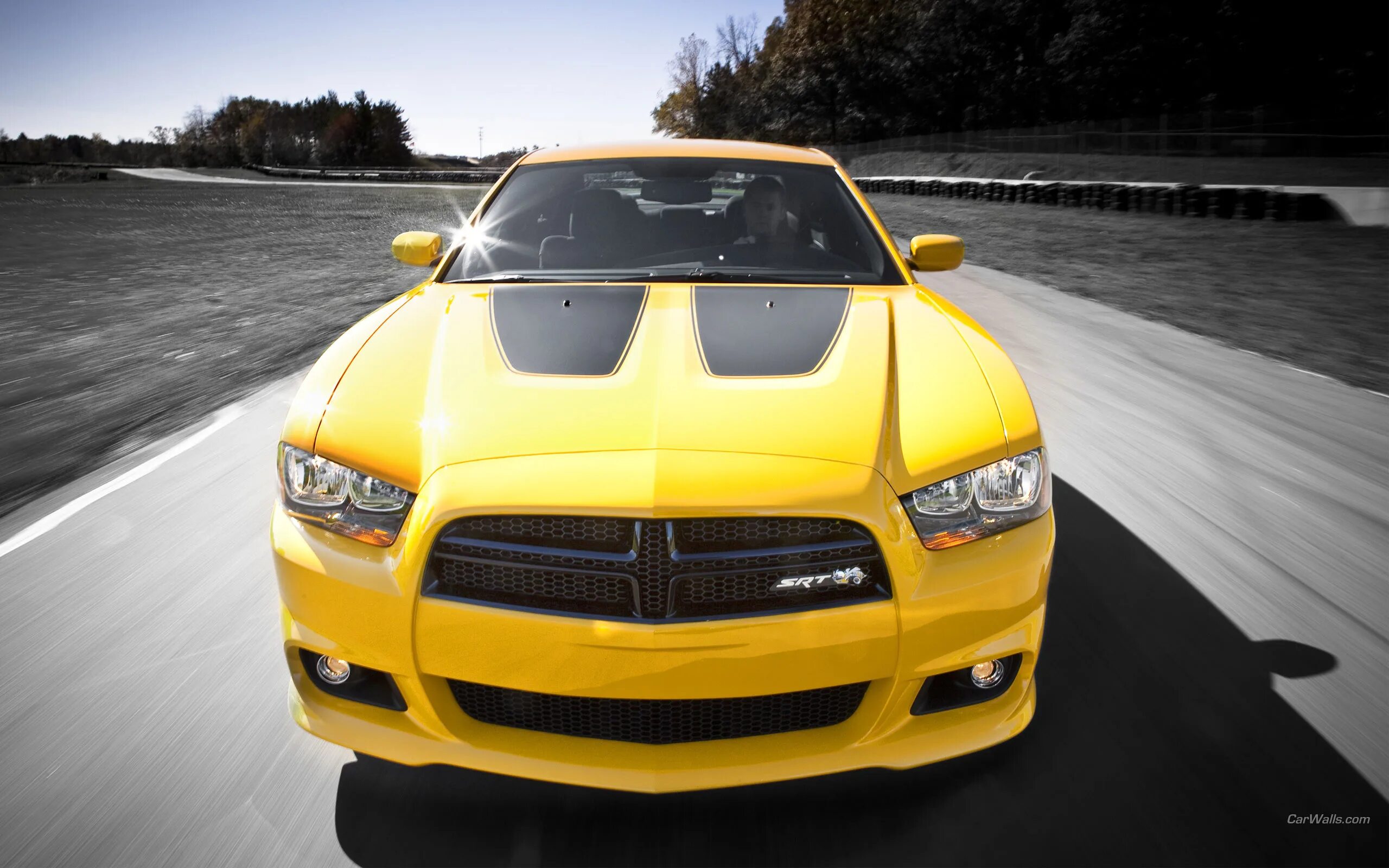 Как играть в желтую машину. Dodge Charger srt8. Dodge Charger srt8 super Bee. Dodge Charger srt8 super Bee 2012. Додж Чарджер СРТ 8.