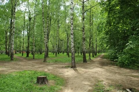 Парк пушкина нижний новгород