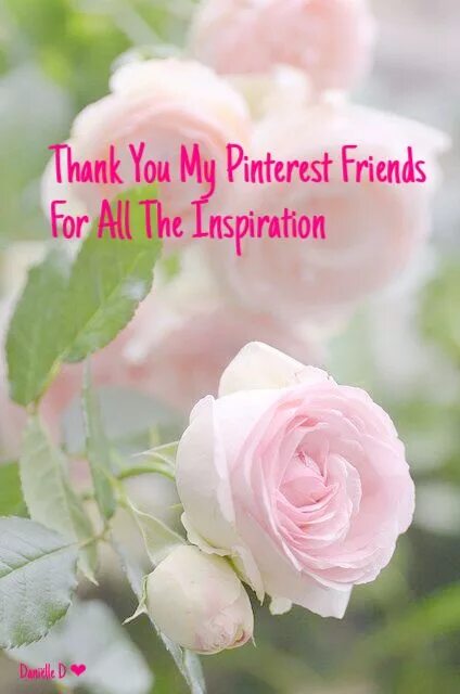 Thank you my love. Thank you dear friend перевод. Thank you for birthday wishes. Thankful for your friendship. Thanks my friend.