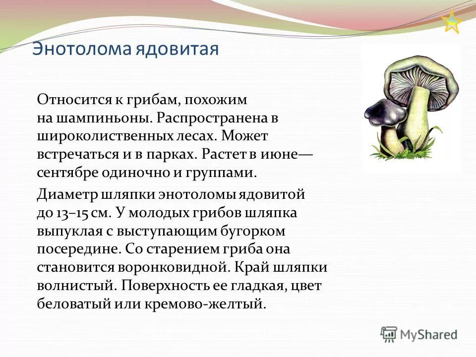 Каковы признаки грибов 5 класс. Ядовитый гриб похожий на шампиньон. Признаки грибов сближающие их с растениями.