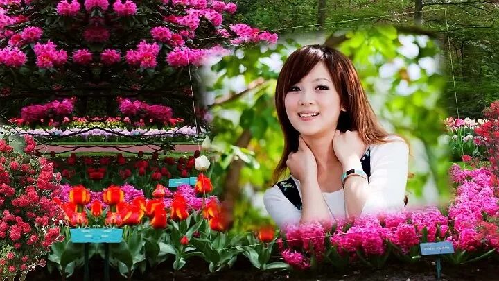 Красивая японская песня. Гучжэн, «китайская цитра». Ю аои. Красивая японская песня. Юкари ито.