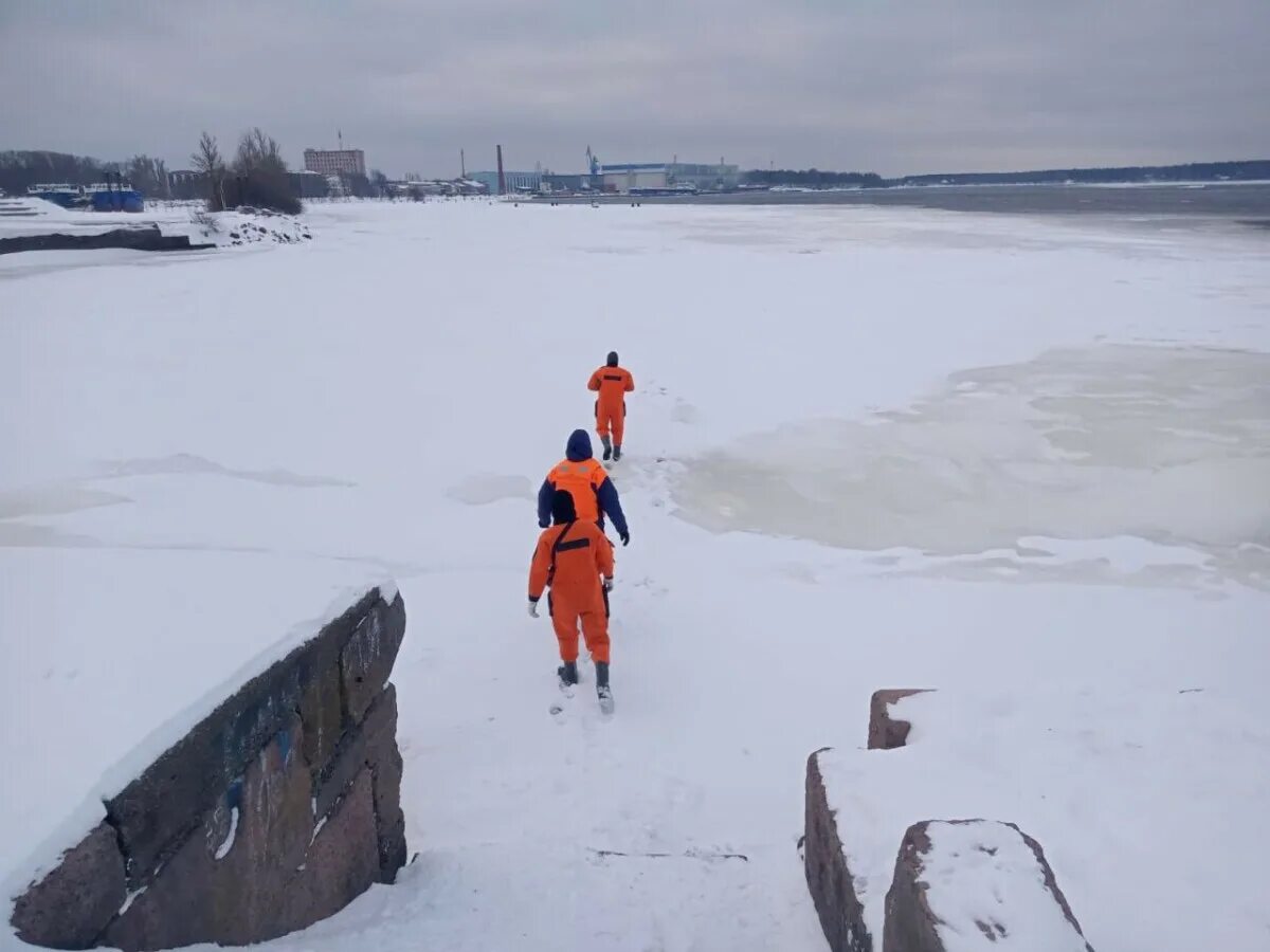Сегодня 26 января