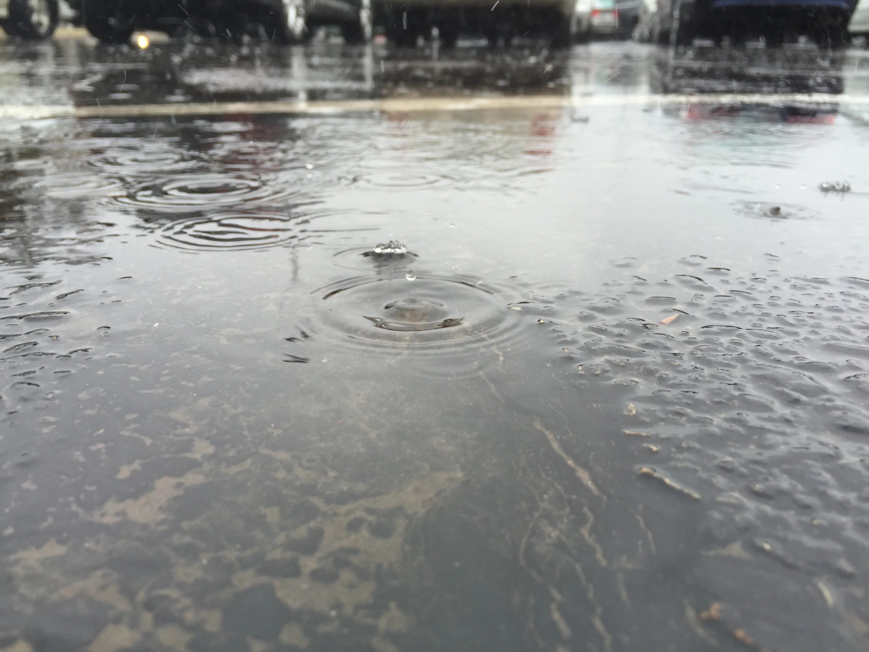 Литва дождевая вода
