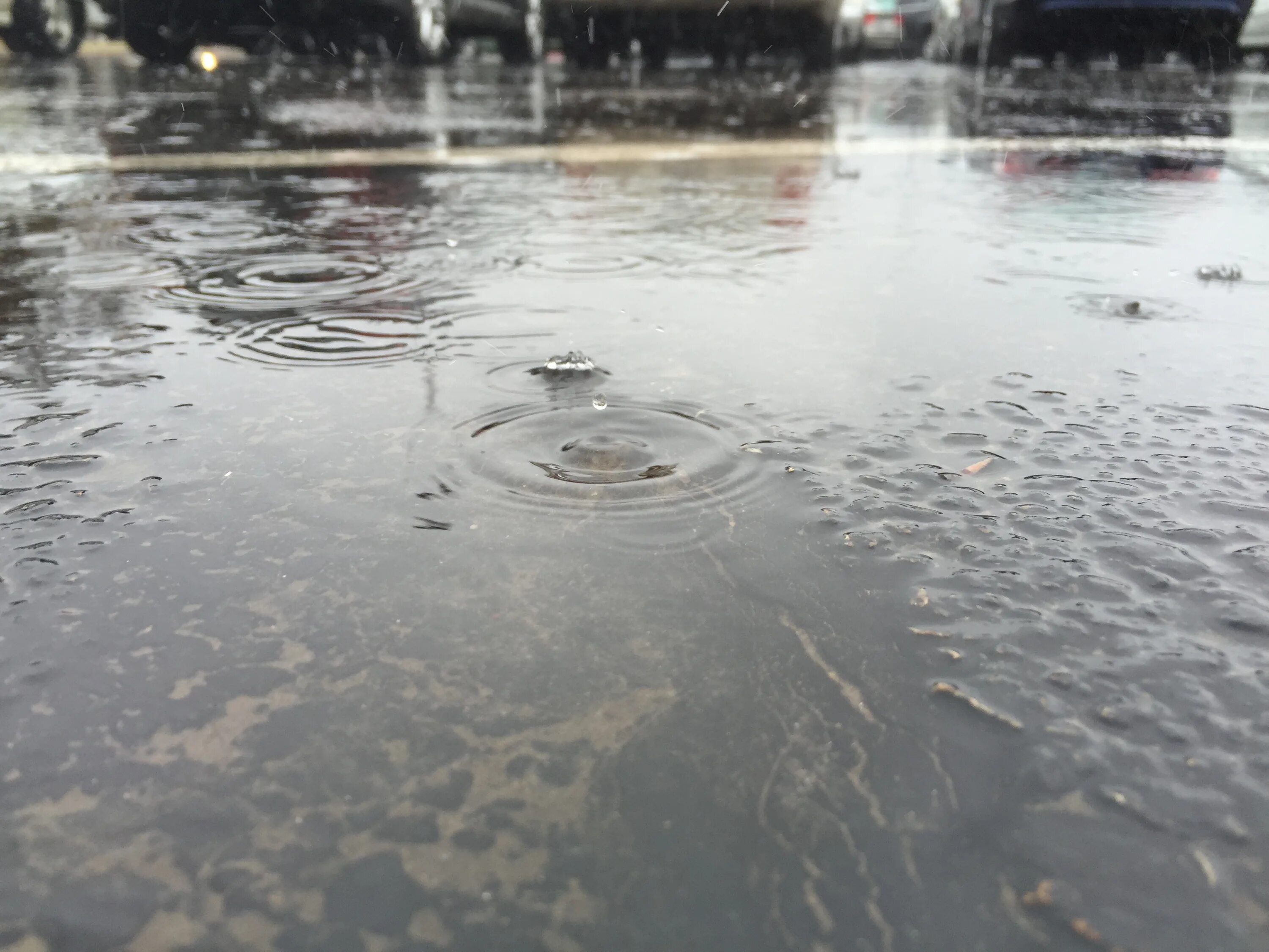 Лужа. Лужа воды. Огромная лужа. Много луж. Везде лужи воды