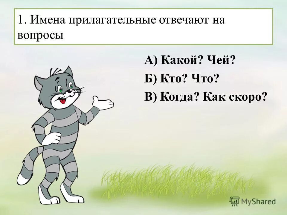 Прилагательное отвечает на вопрос 5 класс