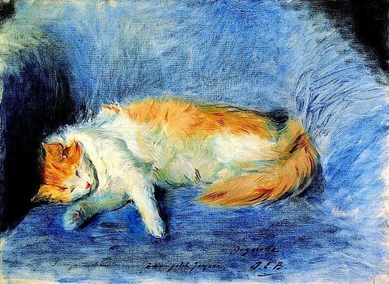 Cat nap art