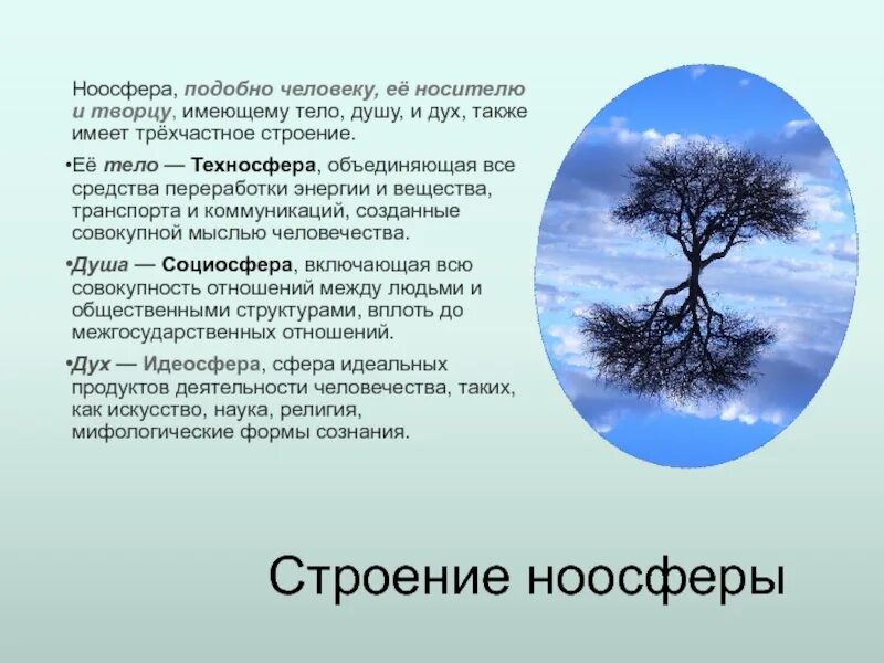 Идеалистический вариант теории ноосферы. Структура ноосферы. ноосфера презентация. строение ноосферы. ноосфера техносфера антропосфера.