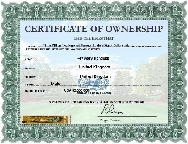 Private certificate. Certificate of ownership. Сертификат на трансфер. Property ownership Certificate. Company ownership documents.