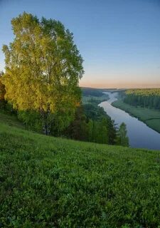 Прекрасная область