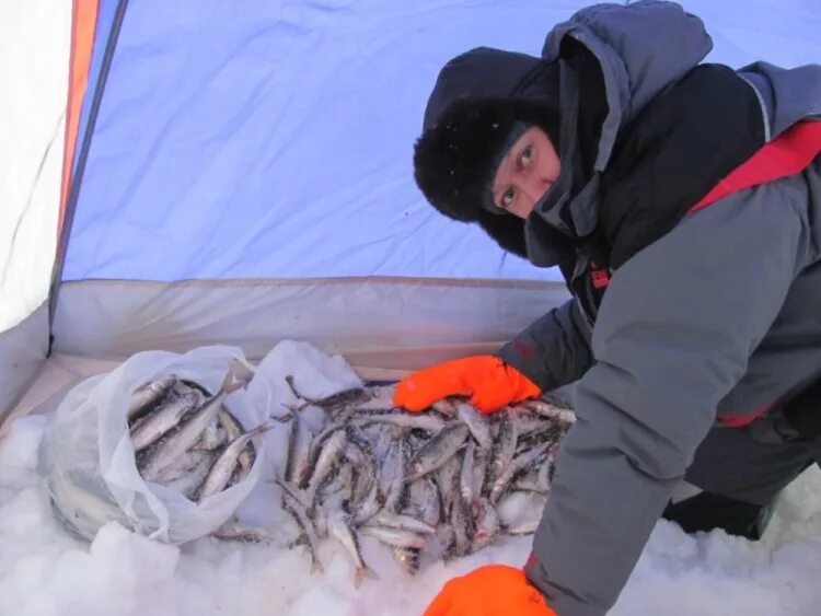 Форум рыбаков на севере. Рыбалка сухое море. Лапоминка сухое море. Губа сухое море рыбалка. Сухое море Архангельск.