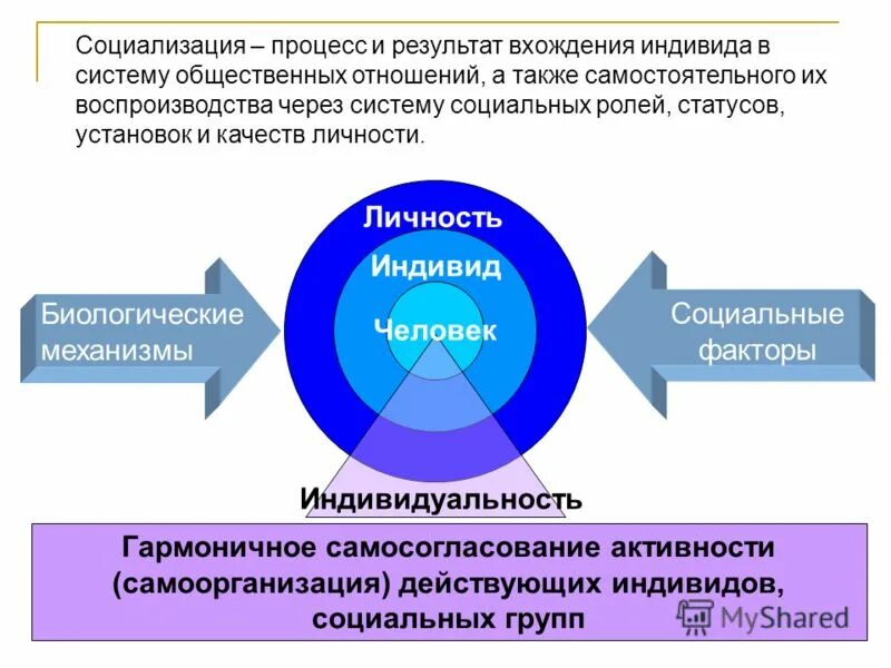 Процесс взаимодействия индивидов. Процесс социализации индивида. процесс социализации означает. социализация как процесс. этапы социализации индивида.