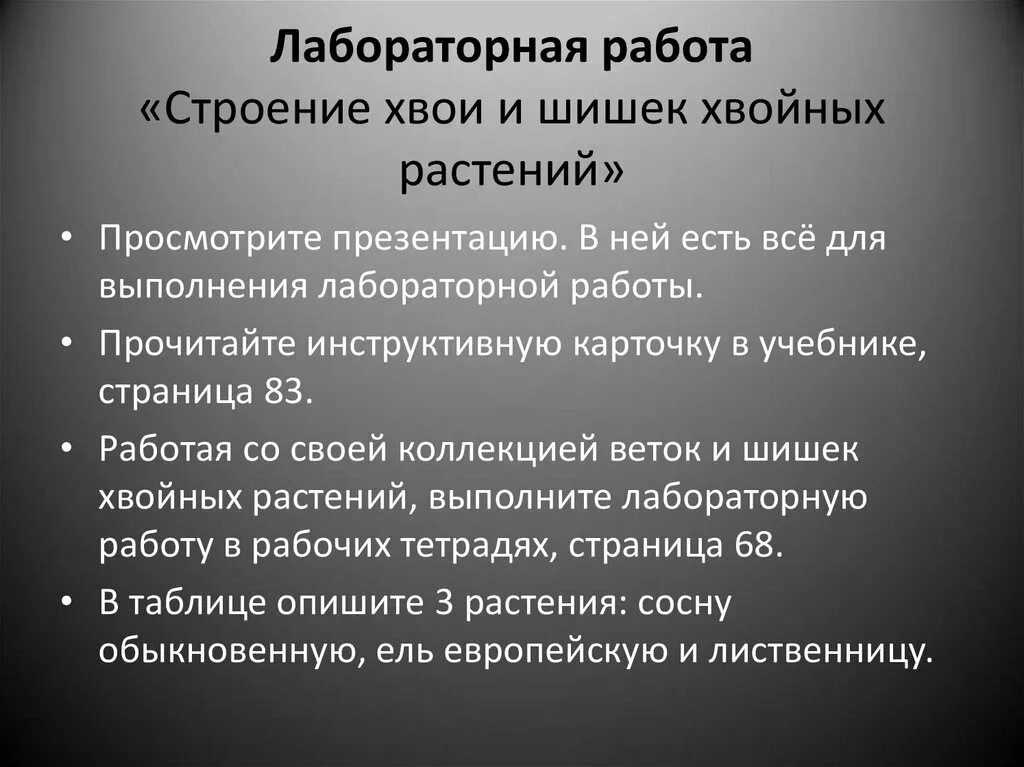 Строение хвойных и шишек хвойных. Лабораторная работа строение хвои и шишек. Лабораторная работа сосны и ели. Строение шишки лиственницы. Лабораторная работа строение хвои и шишек.
