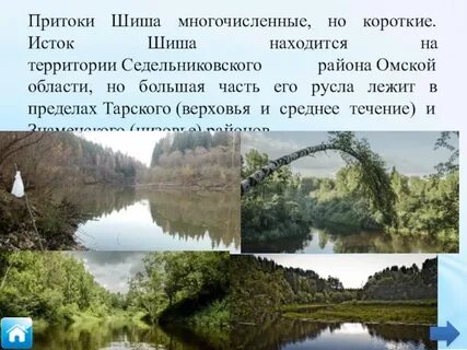 Приток 6