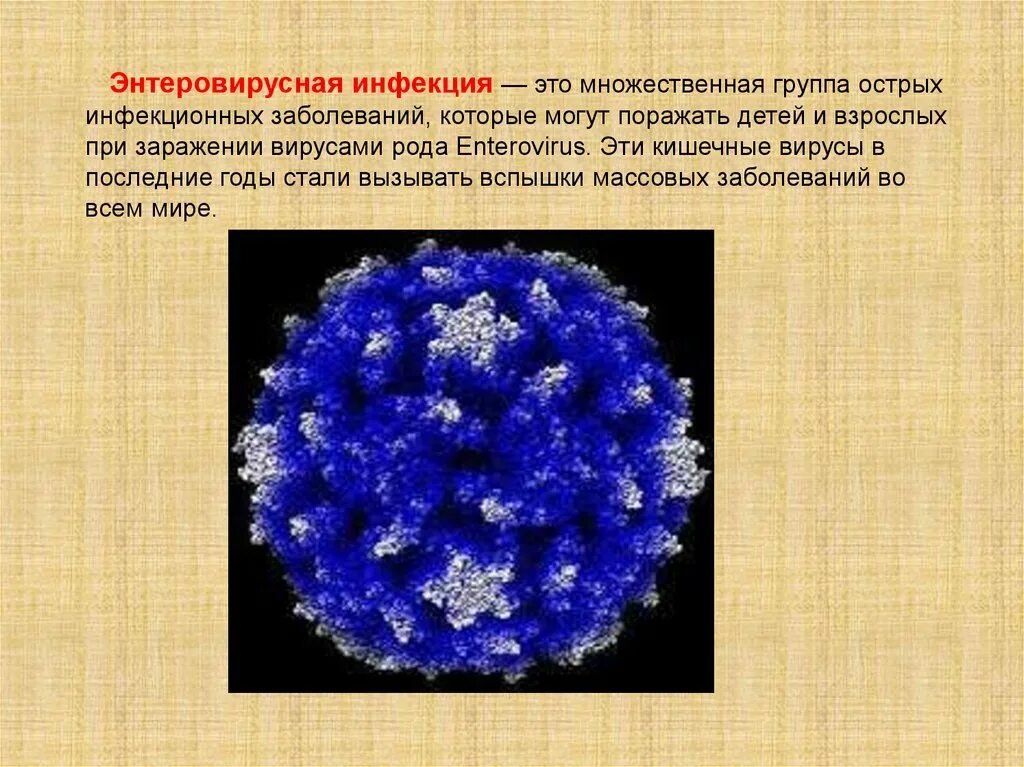Энтеровирус возбудитель. Энтеровирусная инфекция вирус. Энтеровирусы этиология. Энтеровирусы эпидемиология. Обследование на энтеровирусные