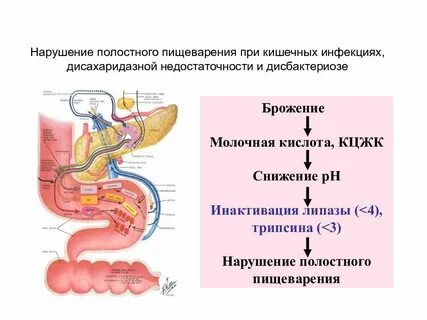 Нарушение усвоения пищи