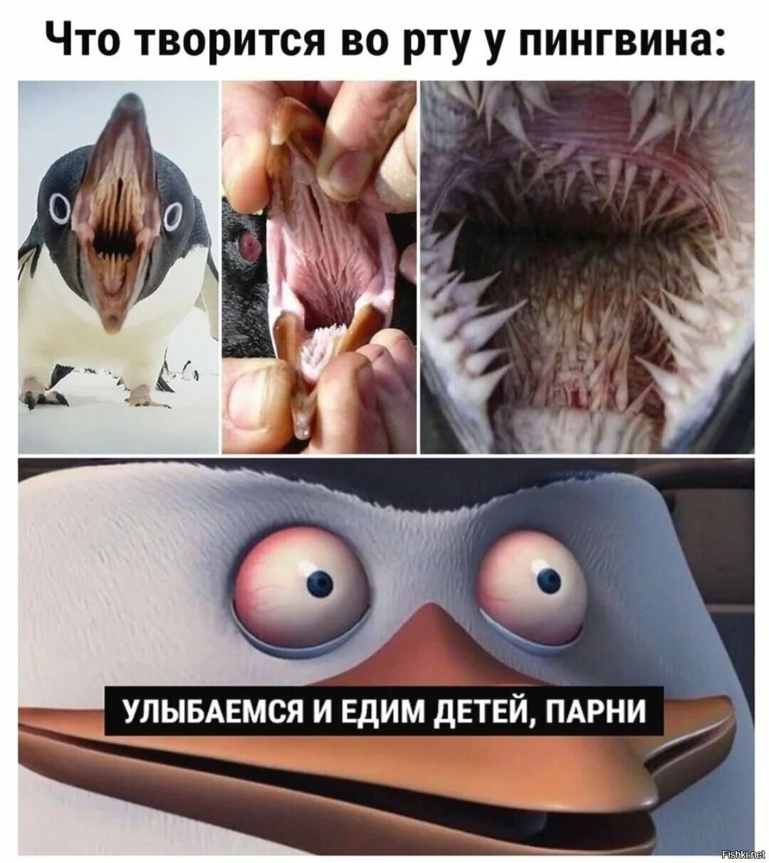 Самую смешную озвучку