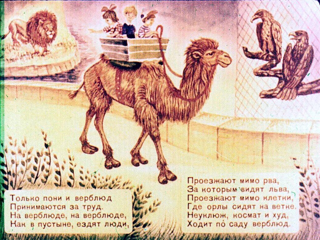 Маршак верблюд. Стихотворение маршака детки в клетке. Верблюжонок смешной маленький. Маршак верблюд. Киплинг книги для детей.