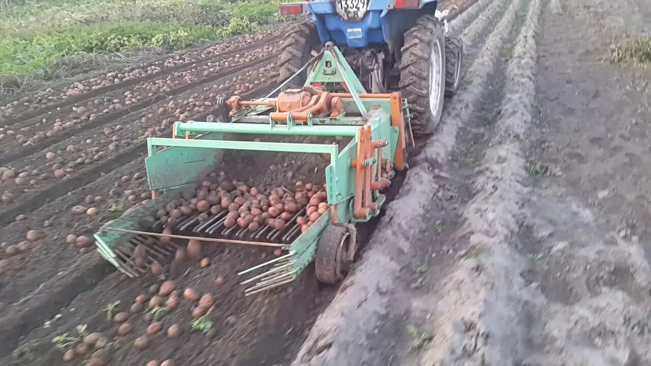 Как сажать картошку после трактора