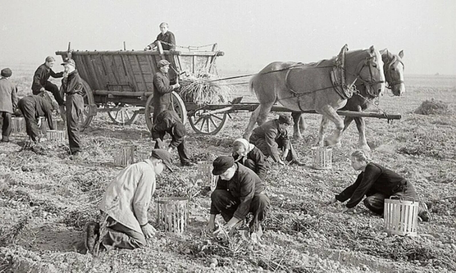 Сельское хозяйство Германия 19 век. Сельское хозяйство в Германии 19 века. Сельское хозяйство Российской империи 19 века. Сельское хозяйство Российской империи в 19 веке.