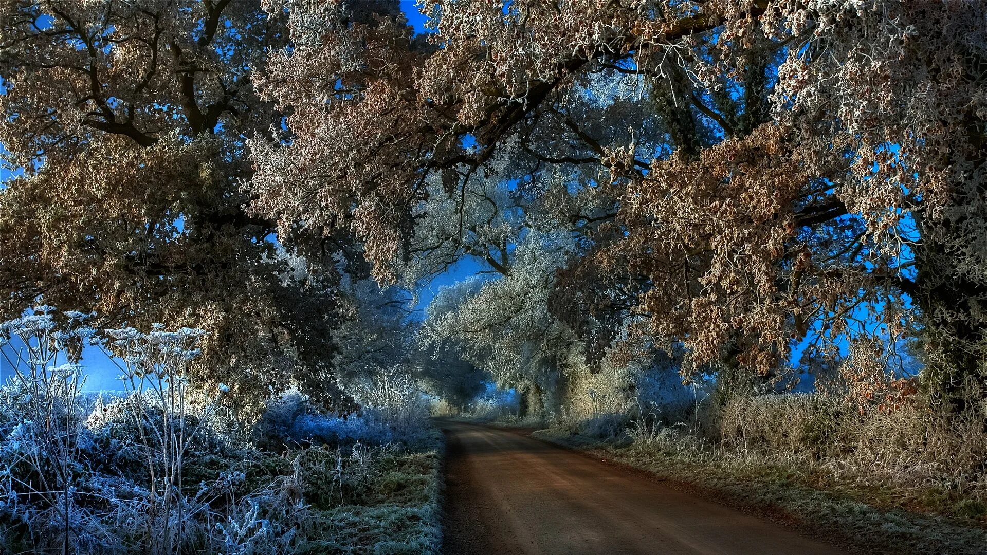 поздняя зима обои на рабочий стол. поздний х. поздняя осень. ставропольский край осень поздняя. поздняя осень.
