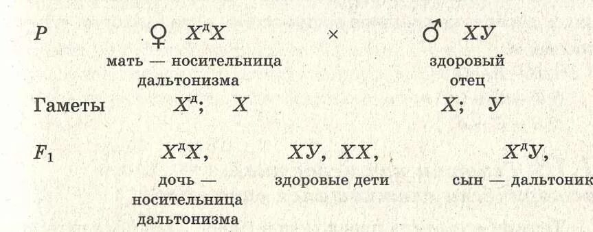 Генотип человека с дальтонизмом. Схема наследования дальтонизма. Наследование дальтонизма задача. Схема скрещивания дальтонизм. Генетическая задача на дальтонизм.