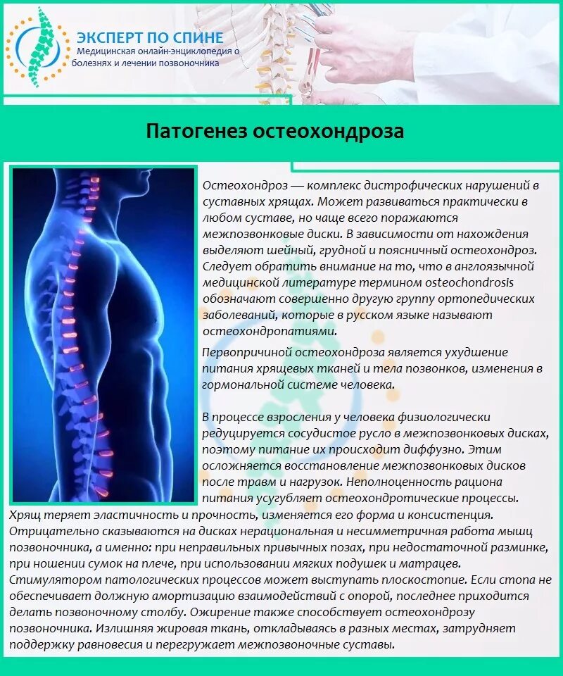 Болезни позвоночника. Остеохондроз позвоночника. Патогенез остеохондроза позвоночника. Патогенез остеохондроза шейного отдела позвоночника.