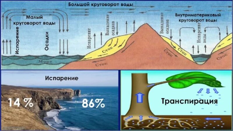 Малый круг круговорота воды. Мировой круговорот воды 5 класс география. Большой и маленький круговорот воды в природе. Большой и малый круговорот воды в природе. Фф большой круговорот