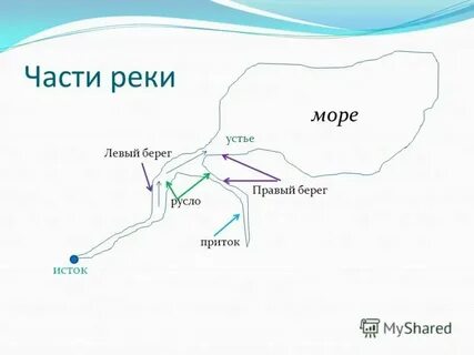 Река ближе к устью 7