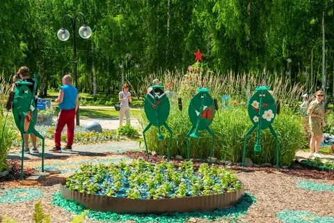 Сестрорецком парке клина